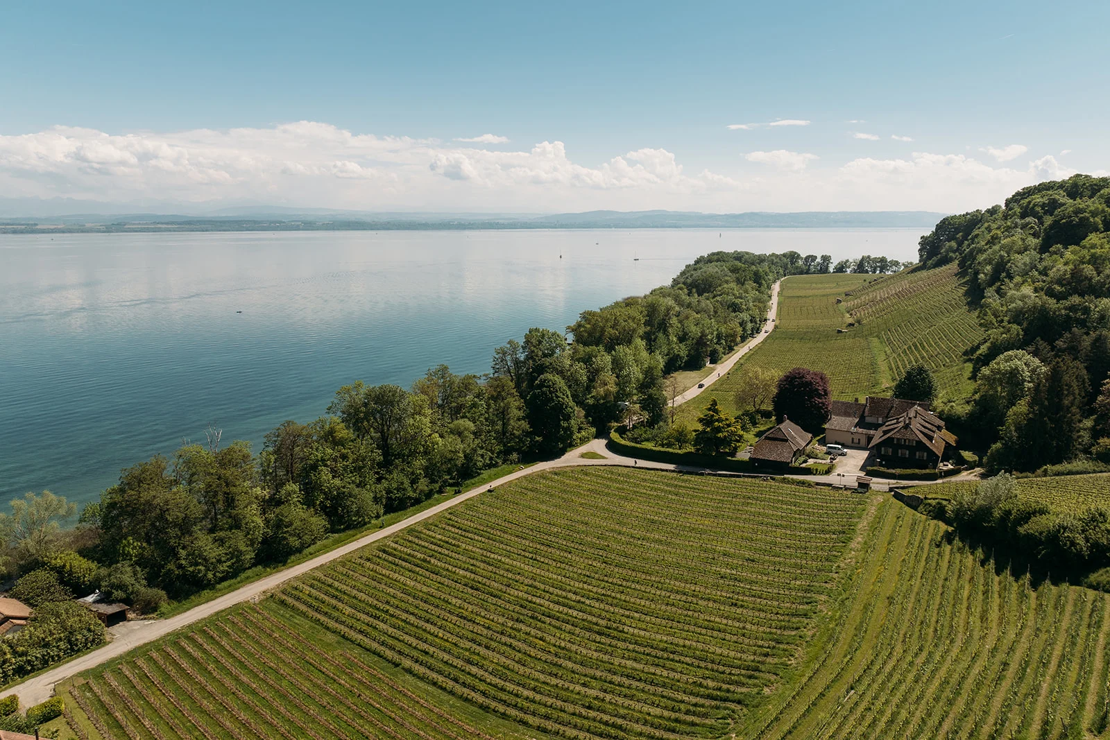 Caves Ouvertes Neuchâteloises - Sarah Adatte - Production Audiovisuelle
