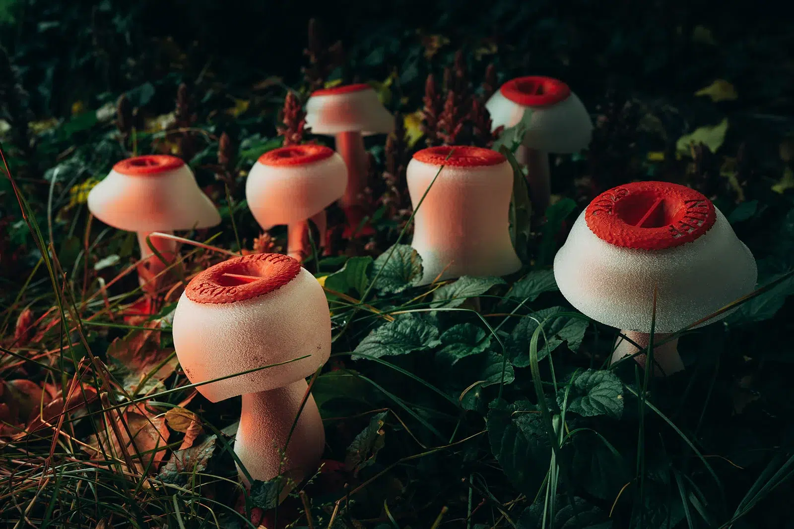 Sculptures de champignons design posées en pleine nature, photographiées par Sarah Adatte pour le NIFFF à Neuchâtel.