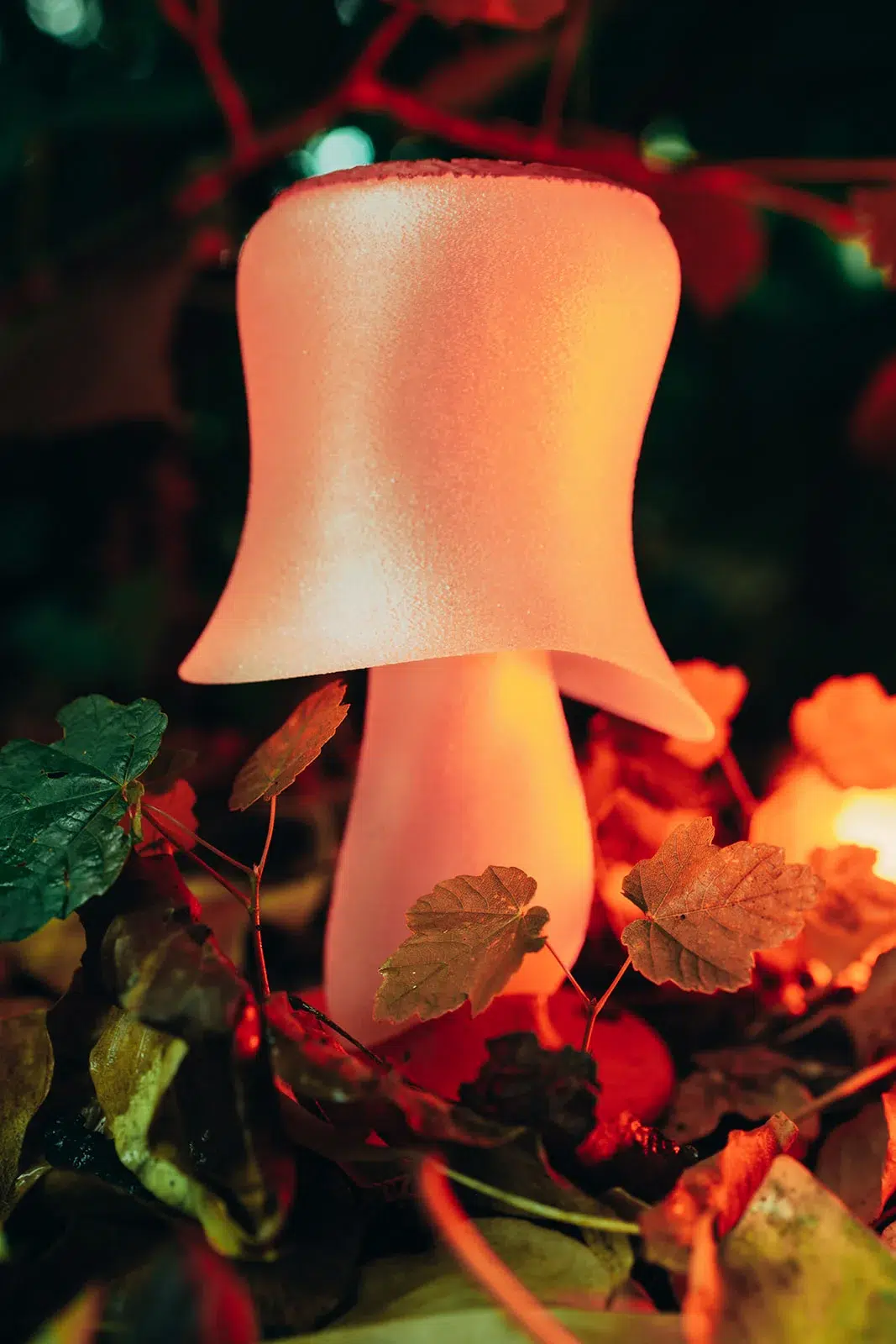 Sculptures de champignons design posées en pleine nature, photographiées par Sarah Adatte pour le NIFFF à Neuchâtel. Vue du dessus