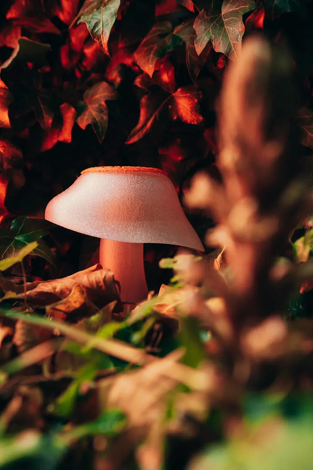 Sculptures de champignons design posées en pleine nature, photographiées par Sarah Adatte pour le NIFFF à Neuchâtel.