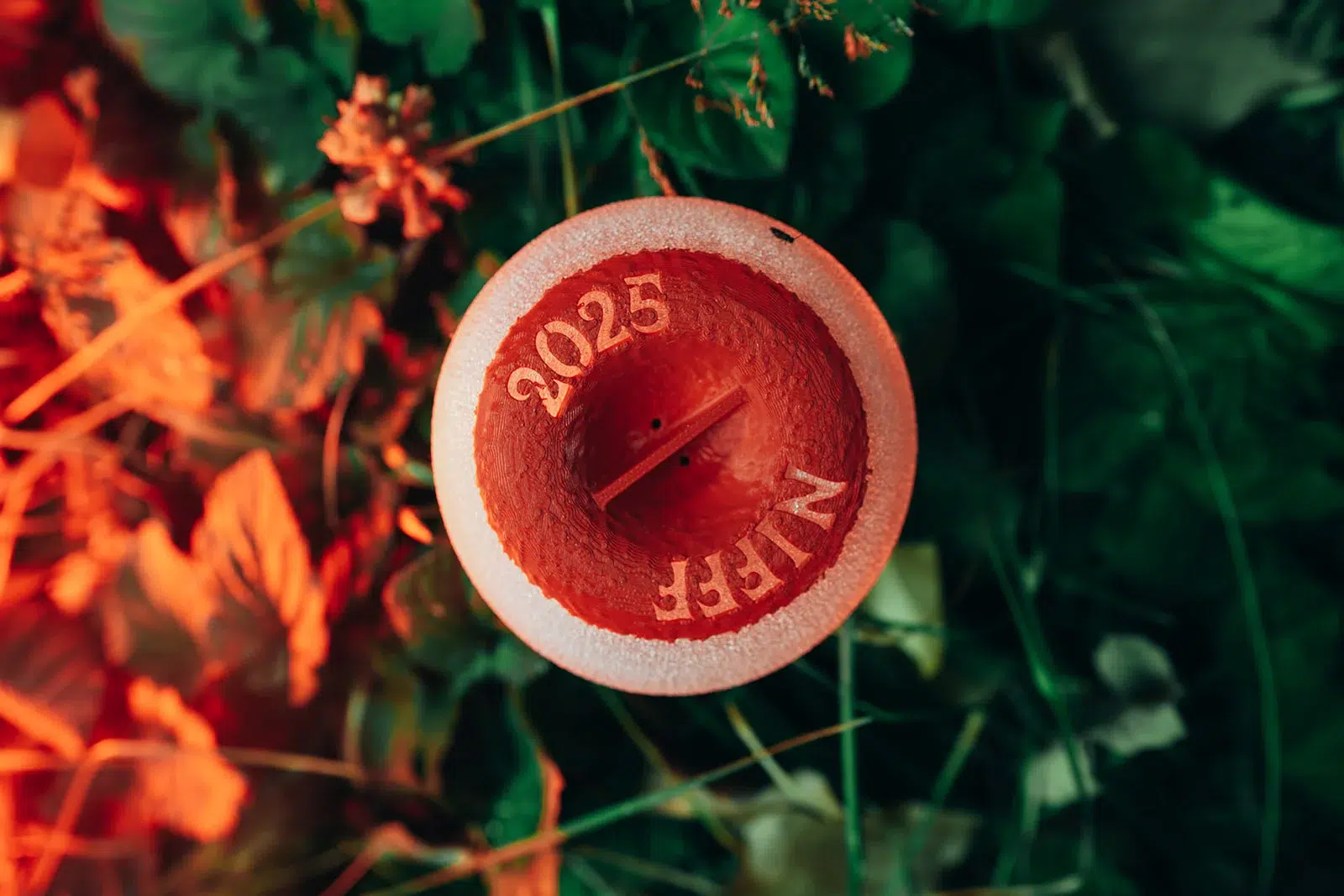Sculptures de champignons design posées en pleine nature, photographiées par Sarah Adatte pour le NIFFF à Neuchâtel. Vue du dessus