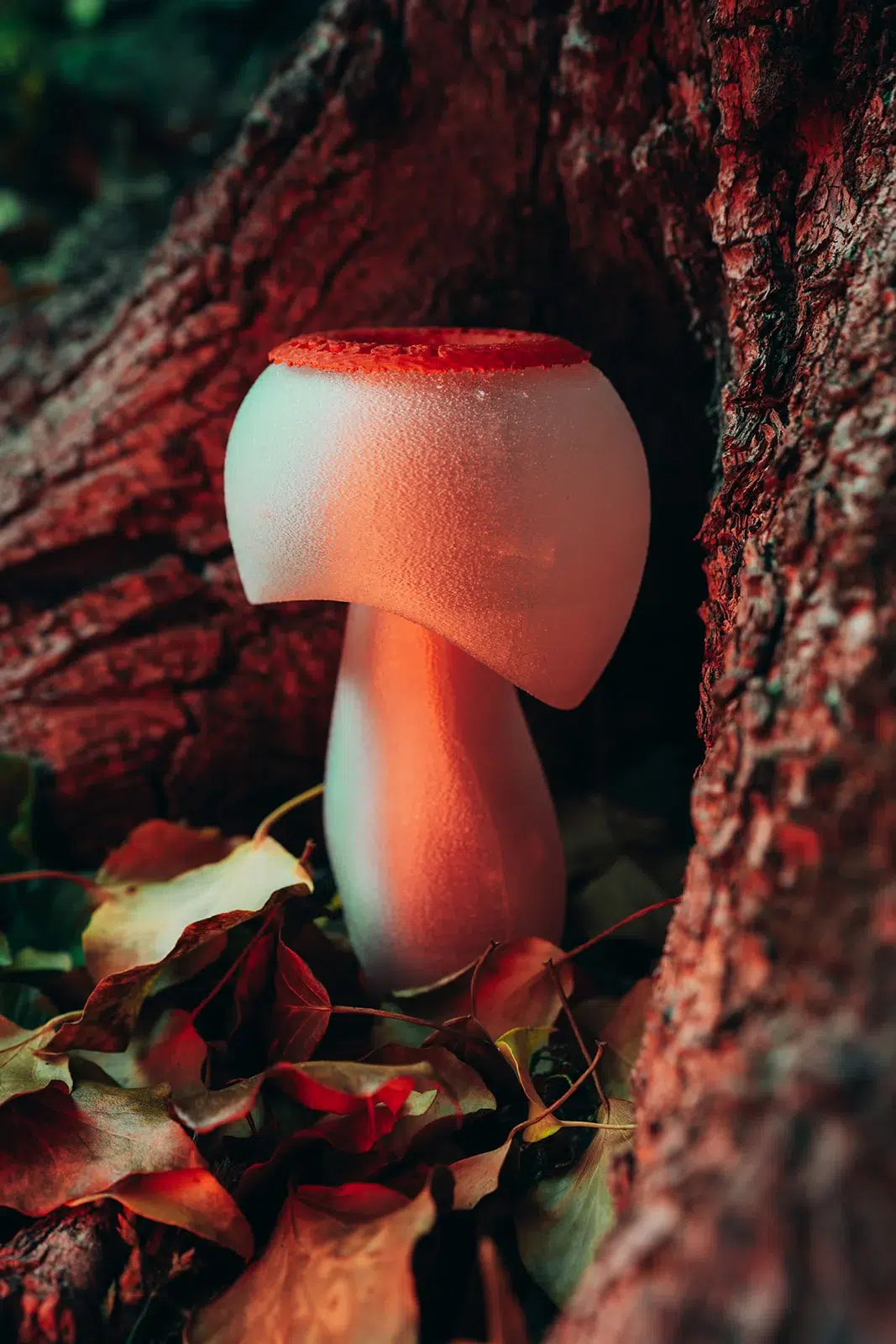 Sculptures de champignons design posées en pleine nature, photographiées par Sarah Adatte pour le NIFFF à Neuchâtel. Vue du dessus